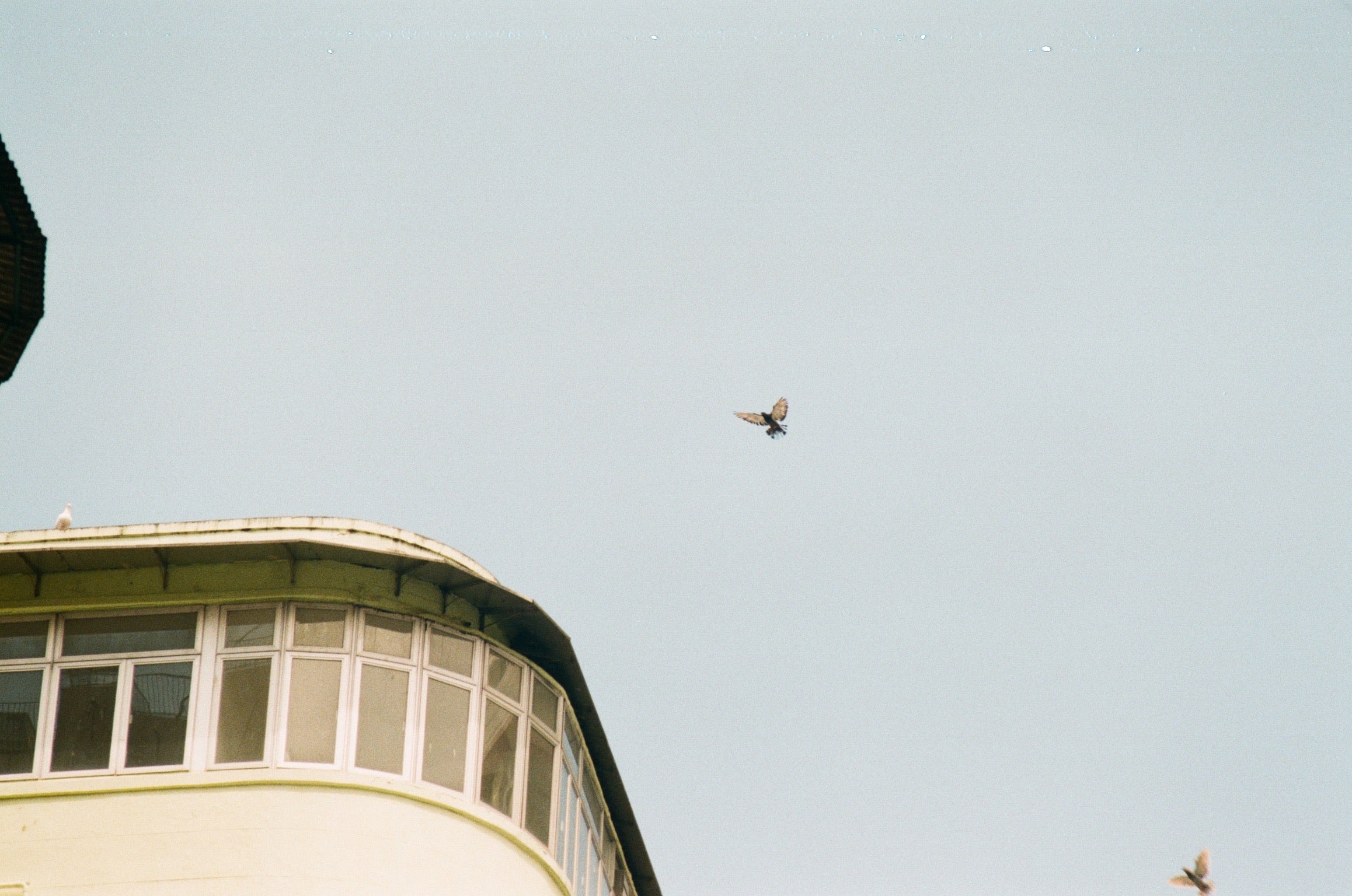 Kodak Gold 200 / 135